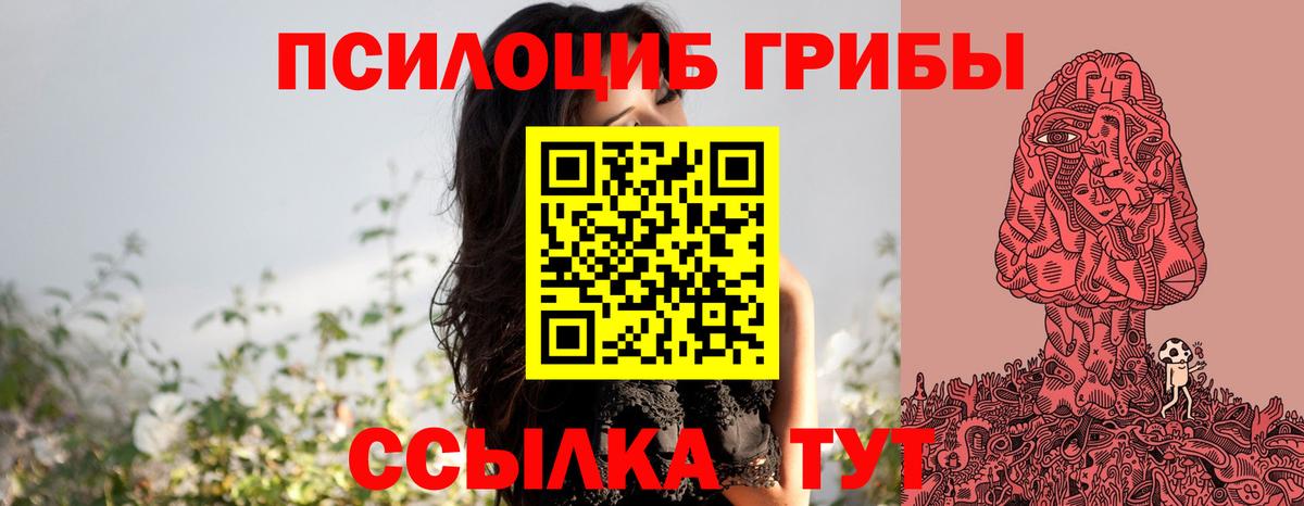 купить наркотики цена  Вход с VPN  Новоуральск  Псилоцибиновые грибы Cubensis 